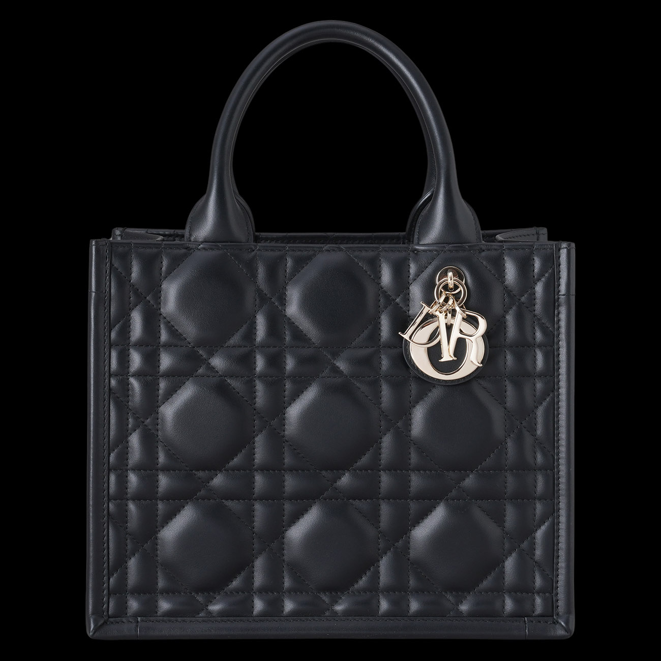 CHRISTIAN DIOR(USED)크리스찬 디올 북토트 스몰